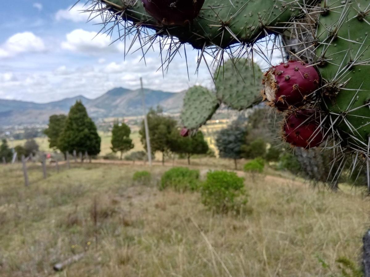 Hotel Campestre Los Duraznos Cucunuba Bagian luar foto